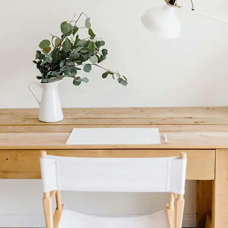 Dr. Camille Sims-Johnson